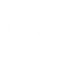 DNS Logo