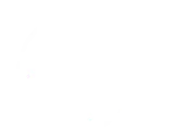 WordPress Logo